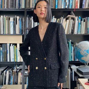 NWT Aritzia Babaton Blazer